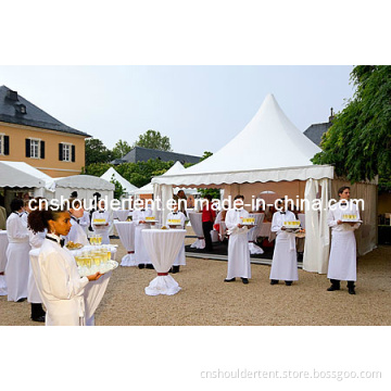 Hot Sale Gazebo Tent for Party (SDG-05)